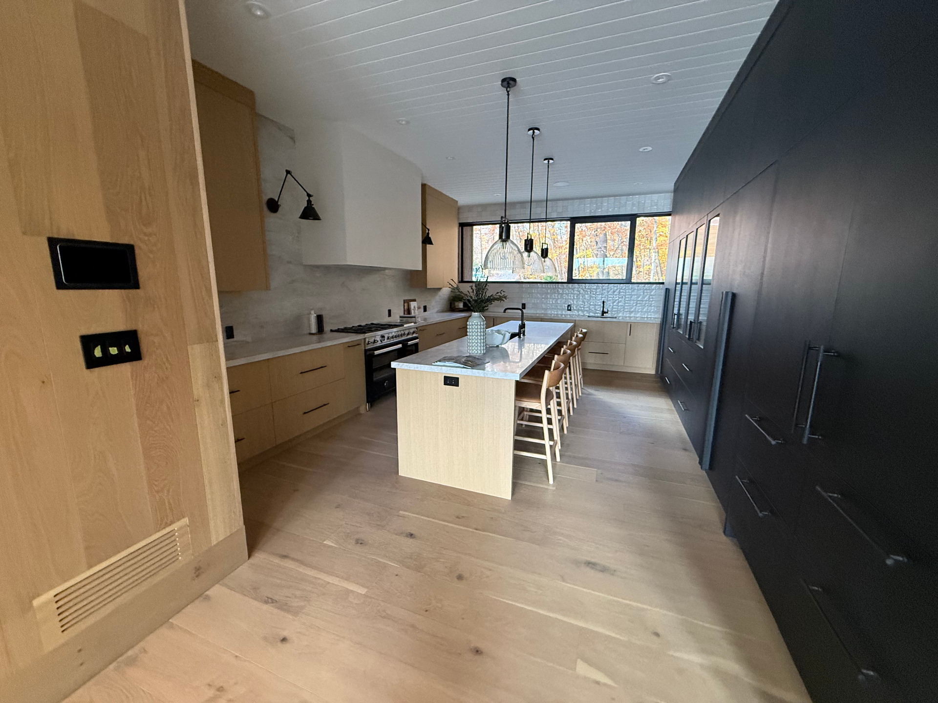 Modern Kitchen Renovation